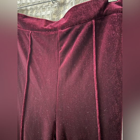 🌹 NWOT! Red Velvet Pants - Picture 2 of 4